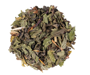 alveus marrakesh nights thee