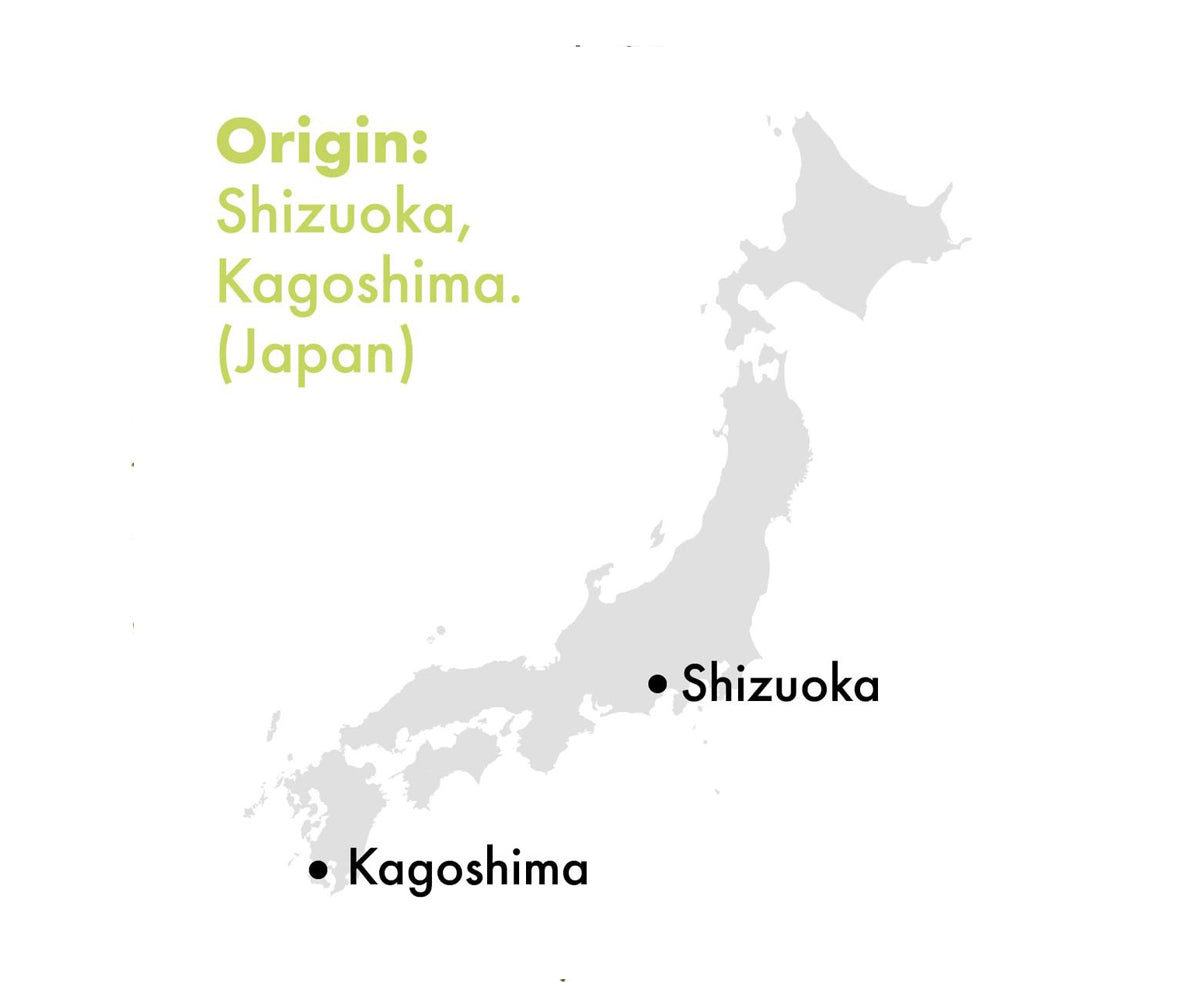 herkomst matcha thee