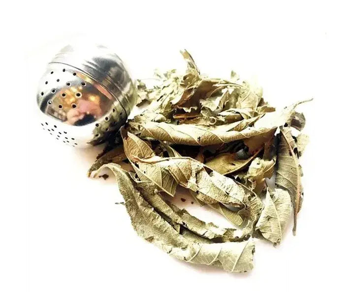 sisline thee lippia