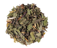 alveus marrakesh nights thee