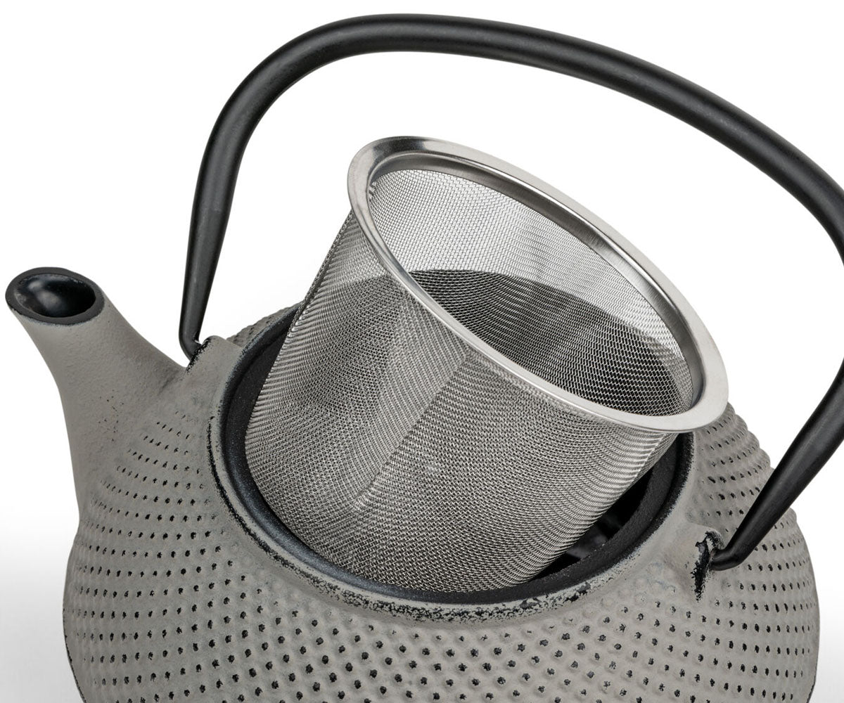 bredemeijer jang theepot gietijzer met filter