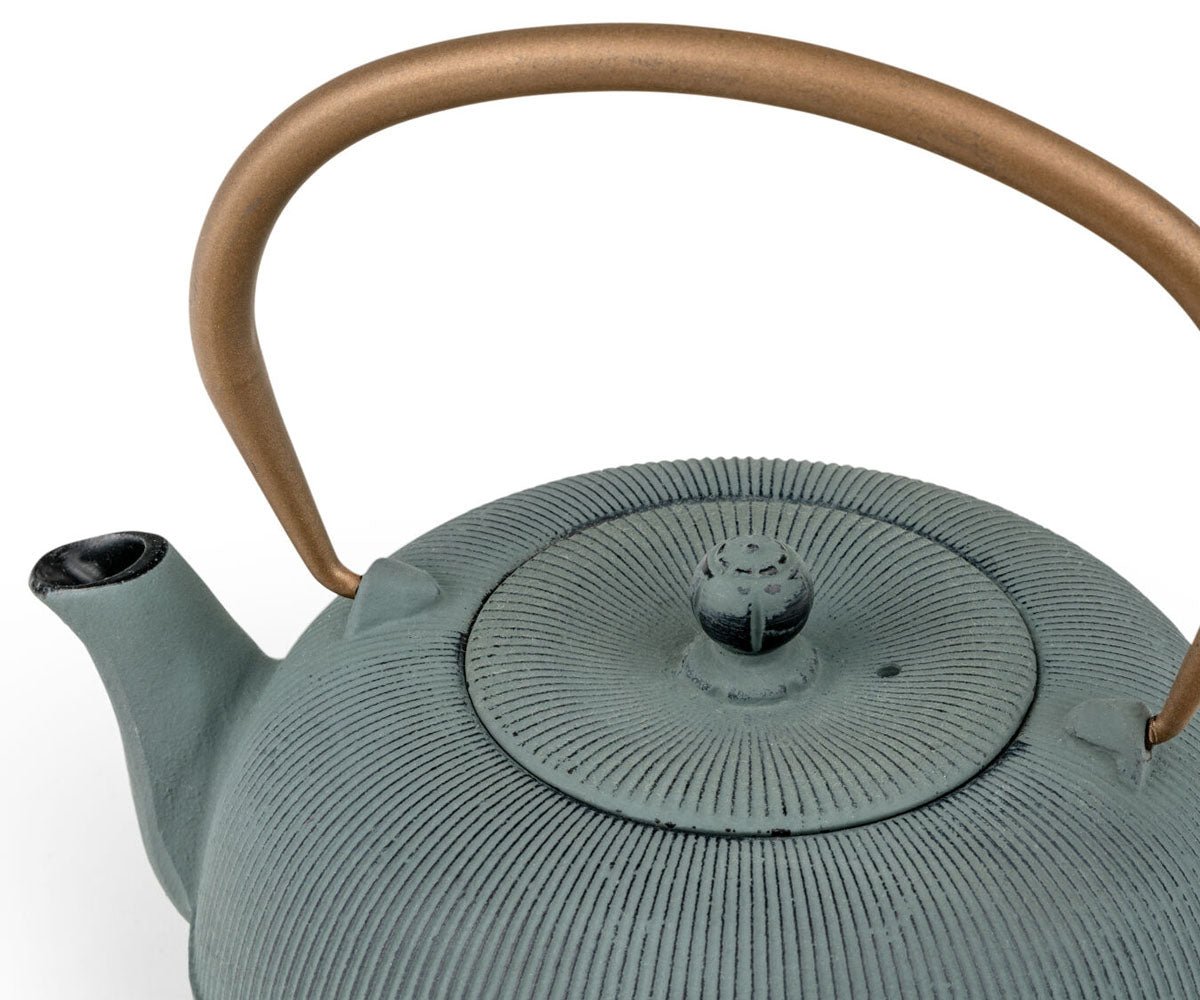 bredemeijer theepot sichuan blauw gietijzer