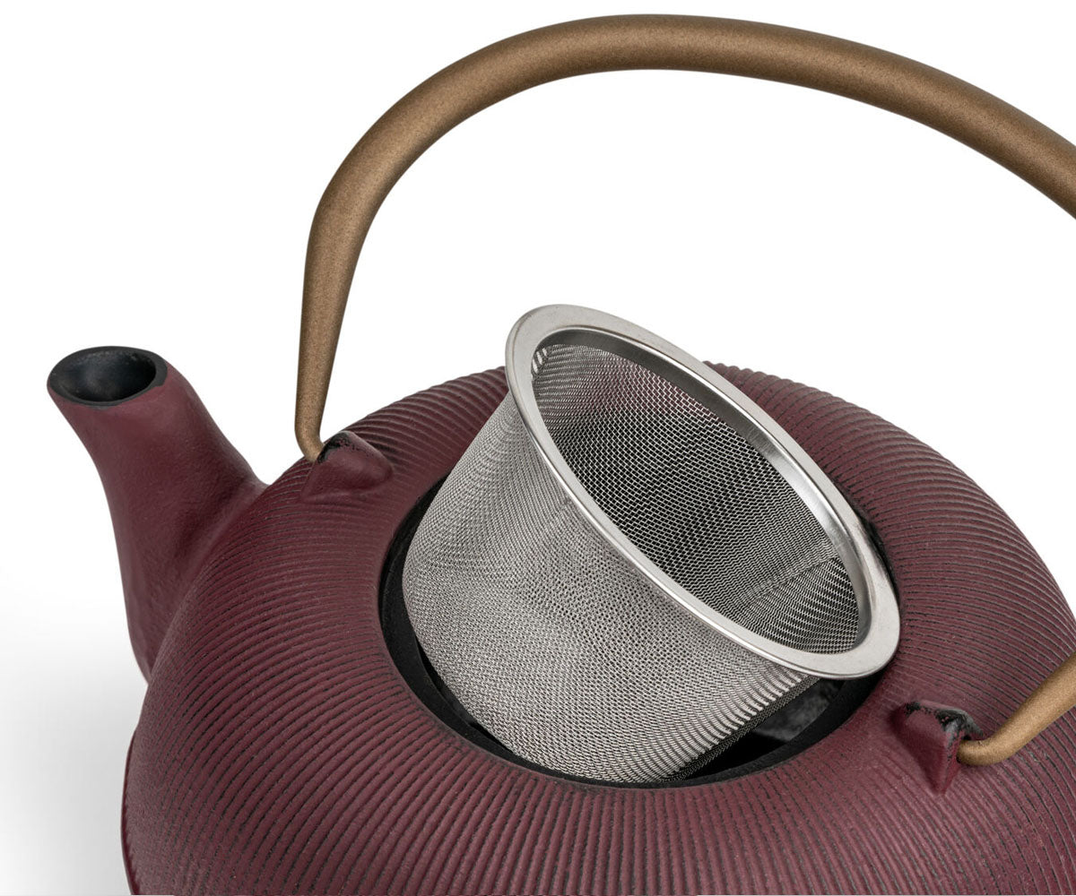 bredemeijer theepot sichuan met filter rvs