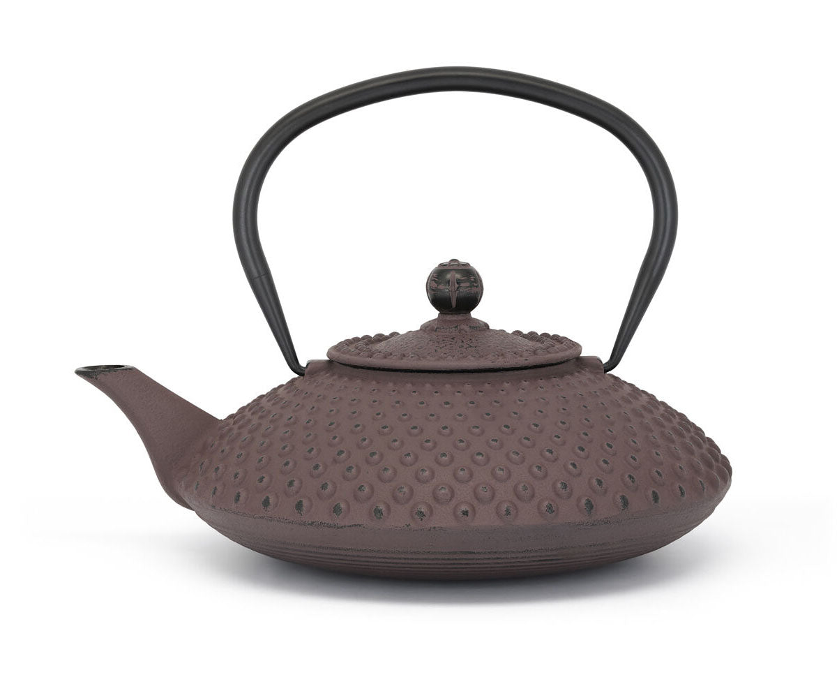 bredemeijer theepot xilin bruin